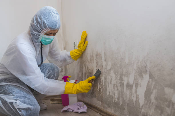 Water damage restoration mold remediation in Prescott, AR